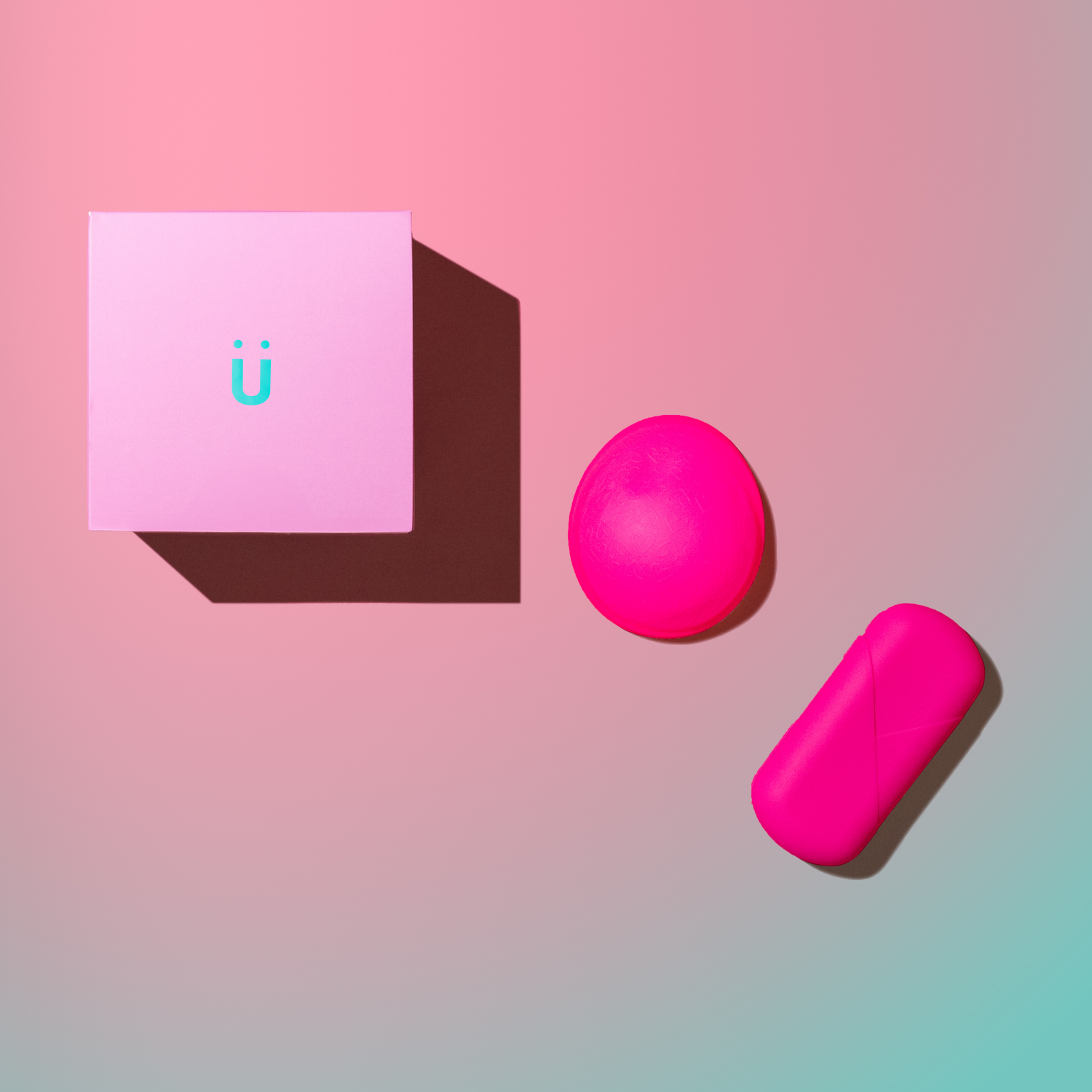 Menstrual Disc &amp; Case