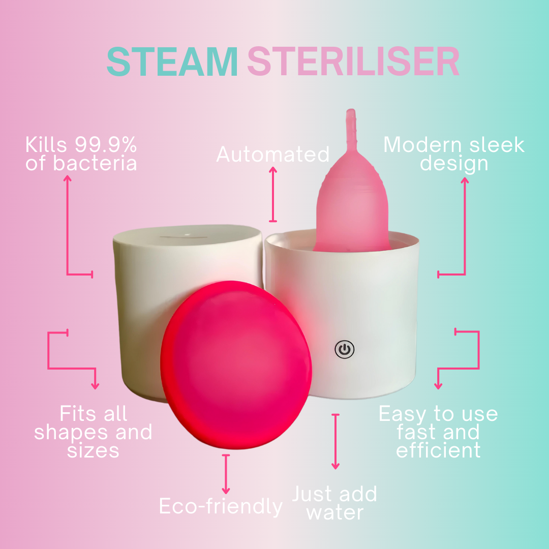 Steam Steriliser